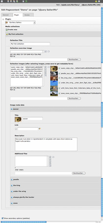 screenshot of the gorillary gallery backend form